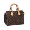 Speedy 25 Louis Vuitton