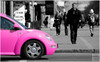 Pink Beetle