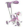 Disney Princess Canopy Trike