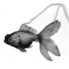 Fauna Goldfish Necklace