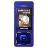 Samsung SGH-F300