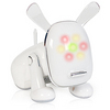 iDOG