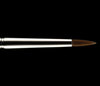 MAC 209 eyeliner brush