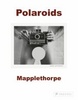 Mapplethorpe:Polaroids