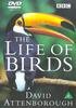 Life Of Birds: Complete Series: 3dvd