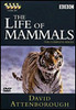 Life Of Mammals