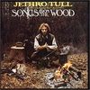 на концерт Jethro Tull