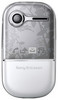 Sony Ericsson Z250i