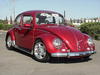 vw beetle