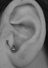 tragus