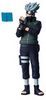 Naruto Shippuden: Kyukyoku Shinobi Taikei: Kakashi Hatake