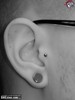 Tragus