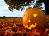 отметить Halloween как как-то раз  в старые добрые времена и даже лучше