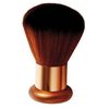 Body Shop Sun Lustre Brush