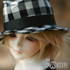 SG0803CH (Fedora Check)