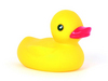 rubber duck