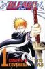 Bleach. Vol. 1