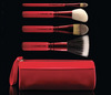 Adoring Carmine: 4 Face Brushes