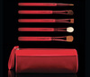 Adoring Carmine: 5 Eye Brushes