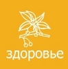 здоровье