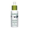 caudalie energizing concentrate