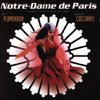 Notre Dame de Paris (a French-Canadian musical)