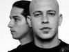 infected mushroom