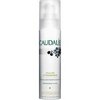 caudalie pulpe vitaminee energizing fluid