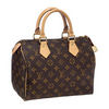 Speedy 25 Monogram canvas