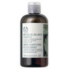 Шампунь Nettle Oil Balance Shampoo - The body shop