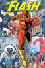 The Flash: Rogues (paperback)