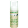 Caudalie Foaming Cleanser