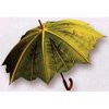 Amazon.com: LAMPS BEAUTIFUL Rain or Sun Umbrella--Palm Tree--Excellent customer service--see our feedback.: Apparel