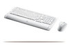 Logitech S530 Cordless Desktop for Mac