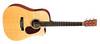 Martin DCX1E Acoustic-Electric Guitar