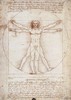 Leonardo da Vinci - The Complete Paintings and Drawings