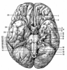 сдать историографию и источниковедение