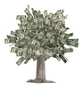 Money tree