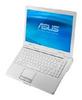 Купить ноутбук Asus F80C (Celeron M 1200Mhz/14.1"/2048Mb/160.0Gb/DVD-RW)