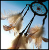 Dreamcatcher