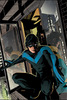 NIGHTWING: THE LOST YEAR