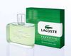 Lacoste Essential