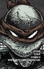 Teenage Mutant Ninja Turtles Collected Book TPB (2009) 1-1ST