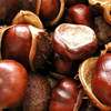 chestnuts