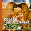 Собаки. 1001 фотография