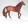 AMERICAN QUARTER HORSE