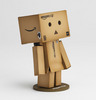 Revoltech Danbo Mini Amazon Box