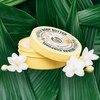 Moringa Body Butter