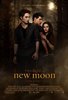 Посмотреть "New moon"