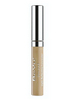 BeYu Light Reflecting Concealer